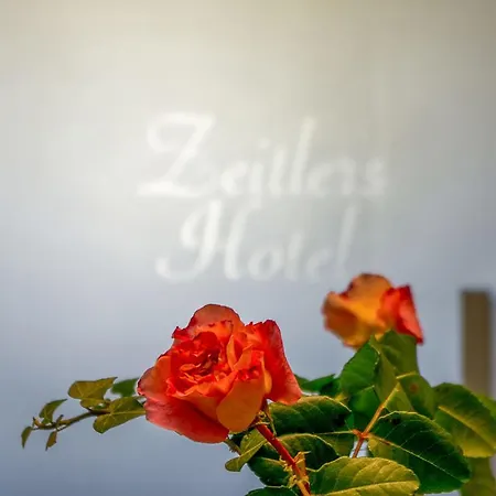 Zeitlers 3*